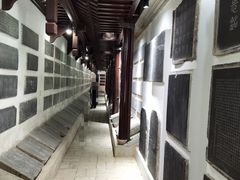 景点-苏州文庙(姑苏区)