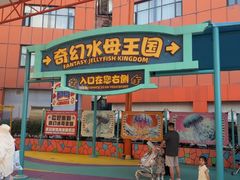 -海合安武汉极地海洋公园