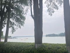 -东湖落雁景区