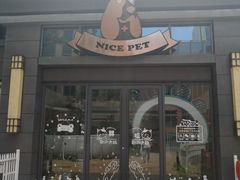 -奈斯宠物医院·核磁CT·异宠专科·内镜(中南店)