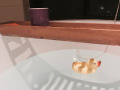 -上海外滩英迪格酒店