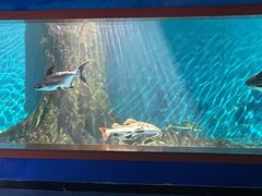 -秦皇岛新澳海底世界