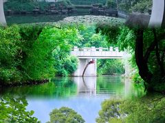 -西溪国家湿地公园