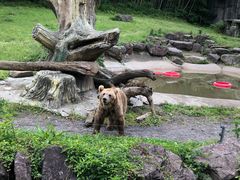 -宁波野生动物园