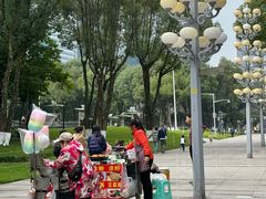 -重庆市江北嘴中央商务区中央公园