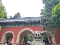 -灵谷景区