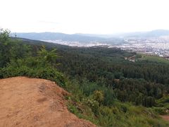 -长虫山生态公园风景林