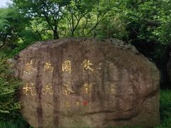 -中国茶叶博物馆(双峰馆区)
