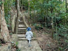 -海南热带雨林国家公园吊罗山景区