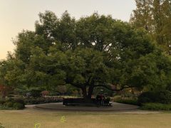 -中山公园
