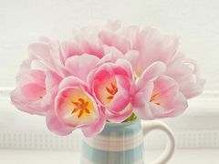 -拾味中点(泺文路店)