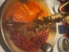 -小龙翻大江文化火锅(宽窄店)