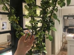 -葡珍轩冰室(虹桥机场T1店)