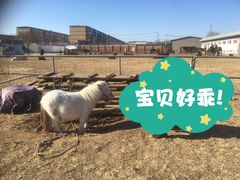 -河北村民俗体验园
