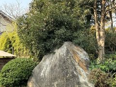 -新荣记(西溪湿地店)