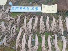 -宁波国际会展中心