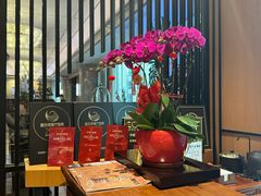 -花城苑广府菜(侨鑫店)