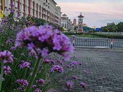 -诚毅广场(地铁站)