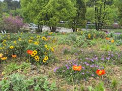 -铁山坪森林公园