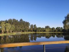 -东郊湿地公园