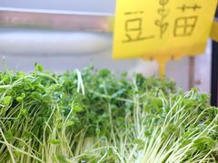-王奋斗贵州酸汤牛肉火锅
