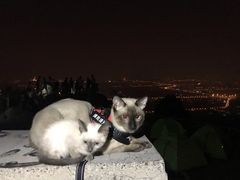 -鬼笑石后山停车场
