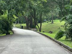 -槟城植物园