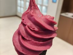 -喜茶(合肥中环城店)