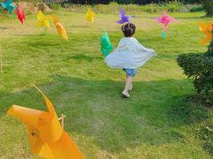 -泉州海丝野生动物世界