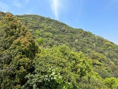 -杭州半山国家森林公园