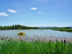 -野鸭湖国家湿地公园