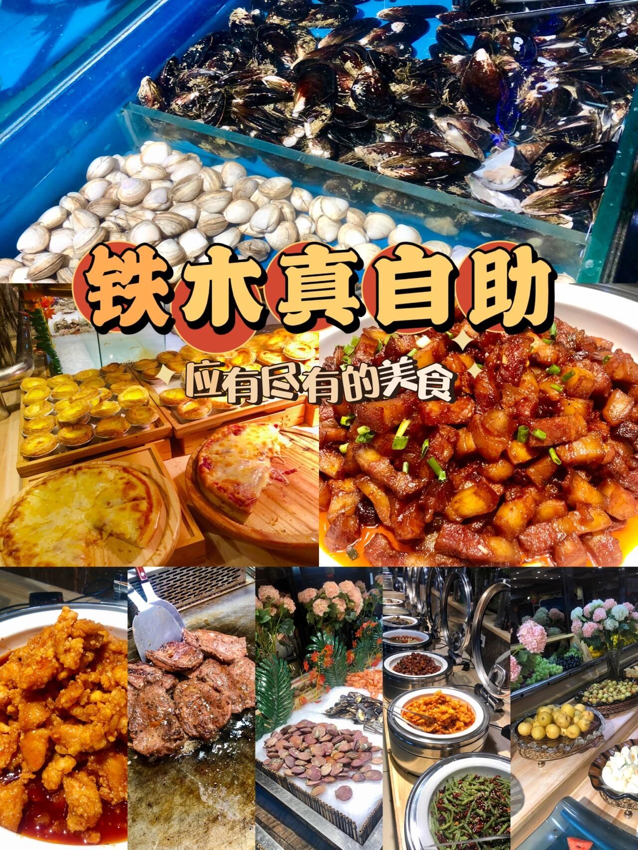 铁木真自助,我的二次回购之选!