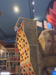 -卡通尼·Safari非洲探索乐园·生日会(金桥国际商业广场店)