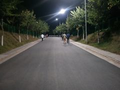 -火炉山森林公园