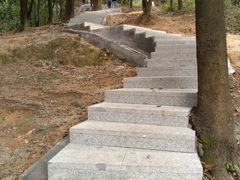 -火炉山森林公园
