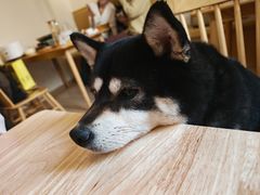 -柴の食堂·日式家庭料理·熊之肆(大学路店)