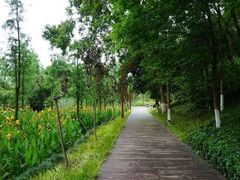 -重庆彩云湖湿地公园
