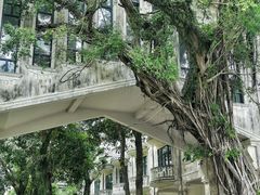 -赤坎·广东华侨国际旅游度假区