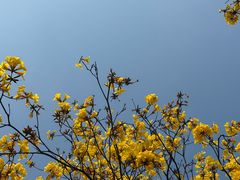-荔湾区儿童公园