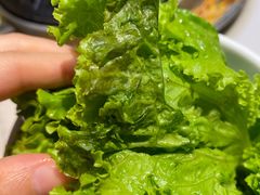 生菜-韩宫宴烤肉·料理(苏州中心店)