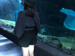 -暹罗海洋世界