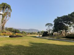 -光明小镇欢乐田园