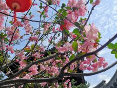 -上海市龙华烈士陵园