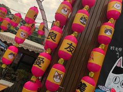 -猫咪博物馆(顶澳仔猫街店)