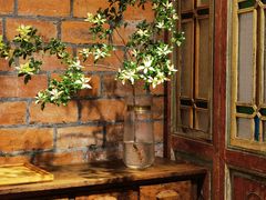-西关84·History·Art·Cafe