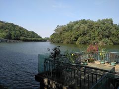 -李小龙乐园(顺德均安店)