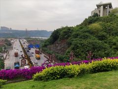 -西南政法大学(渝北校区)