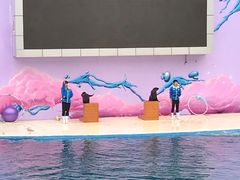 -北戴河圣蓝海洋公园