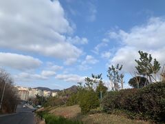 -青岛沙子口国家中心渔港