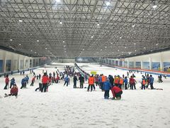-绍兴启迪乔波冰雪世界